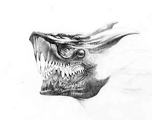 913_Dragon Head