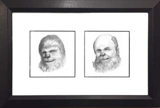 musgrove_ChewBacca-LouBacca-