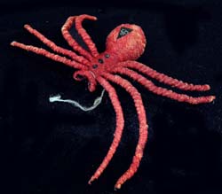 o_spider4_side