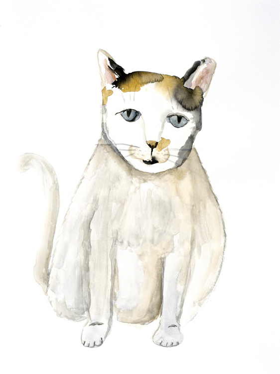 G_jon Huck- Cat - 15_20_