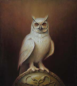A_owl of Athena 22x20