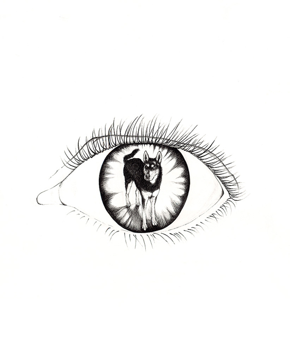 mogiceye