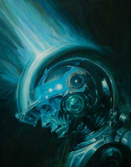21Sonic Skullnaught 