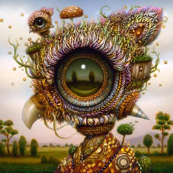 31hNaoto_Hattori