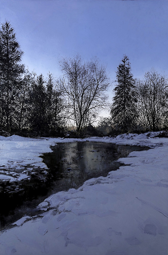C_bsnow_pond_day