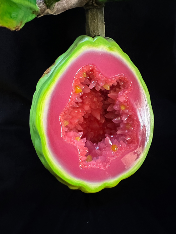 05guava_close
