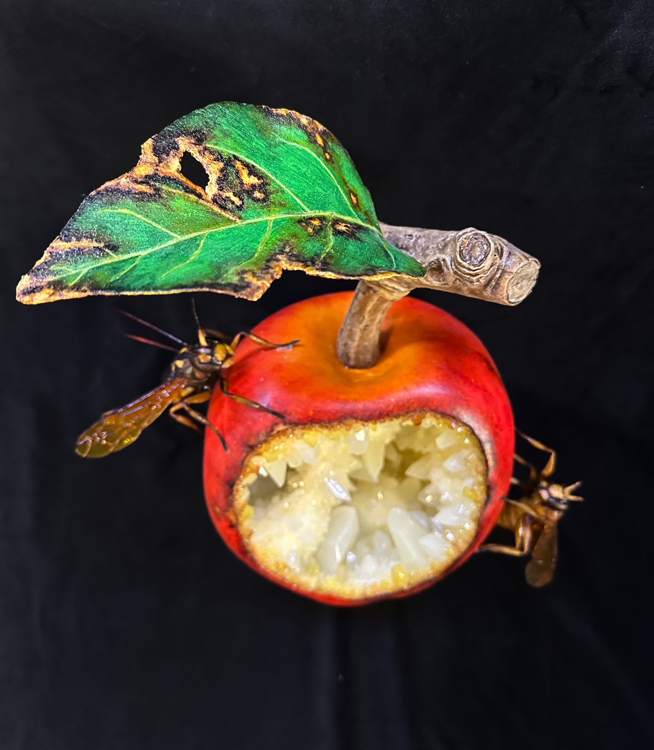 07apple rot