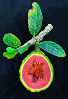 06guava