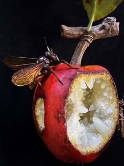 09apple rot2