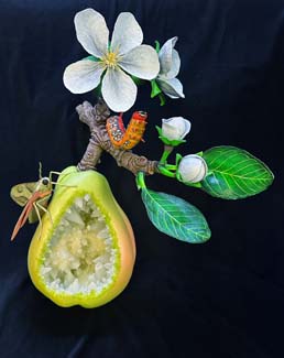 10,pear