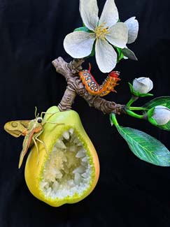 11pear2