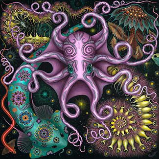 71Connett_Chromatophoric-Patterns