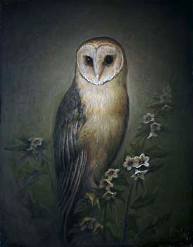 Haenbane (Hyoscyamus niger) _ 16 x 20 (41 x 51cm) _ Oil on Linen